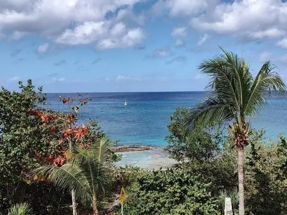 Great Condo in Cozumel OCEAN FRONT D10