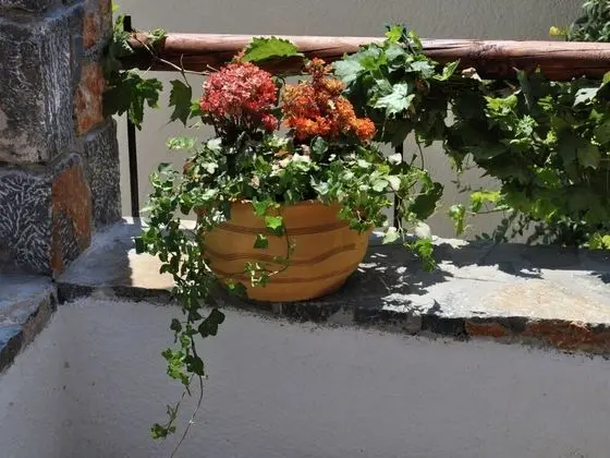 Greek Style Villa in Crete - İç Mekan