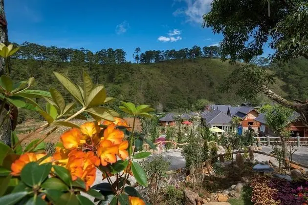 Green Bee Bungalow - Dış Mekan