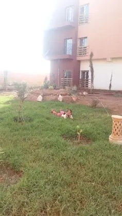 Green Cactus - İç Mekan