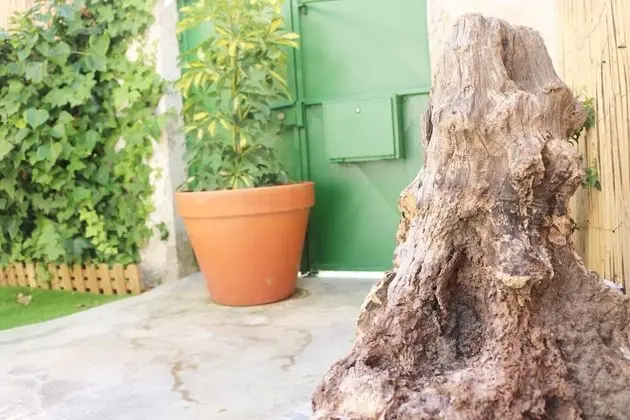 Green Element Guesthouse - Dış Mekan