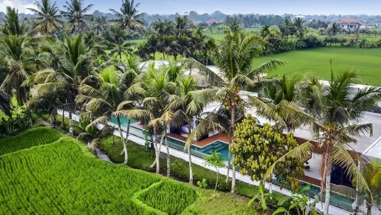 Green Flow Villa 1 Ubud
