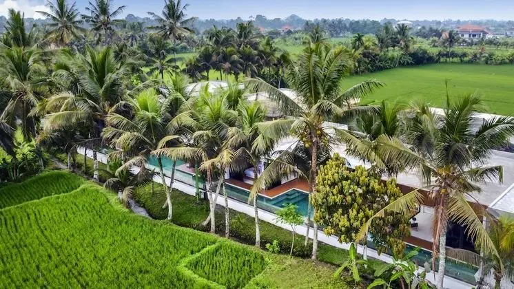Green Flow Villa 2 Ubud