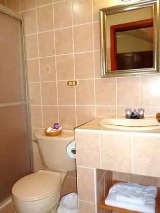 THE Green Frog Inn Bed and Breakfast - Banyo Tipleri