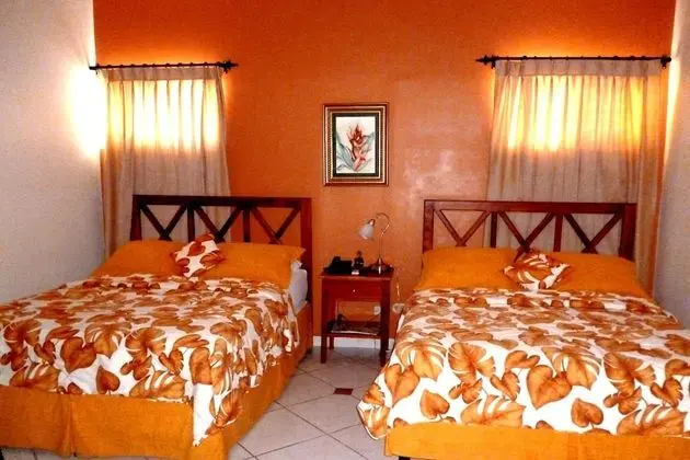 THE Green Frog Inn Bed and Breakfast - Oda