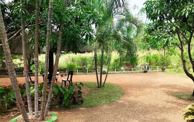 The Green Garden