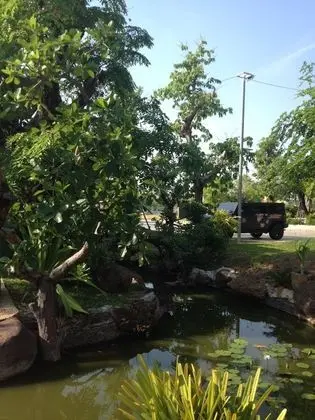 Green Garden Resort - Dış Mekan