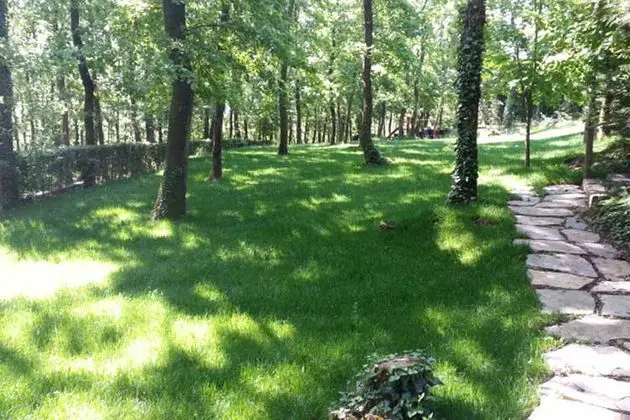 Green House Garden Park - Manzara / Peyzaj