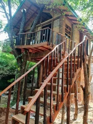 Green house