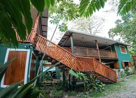 Green Jungle House - Dış Mekan