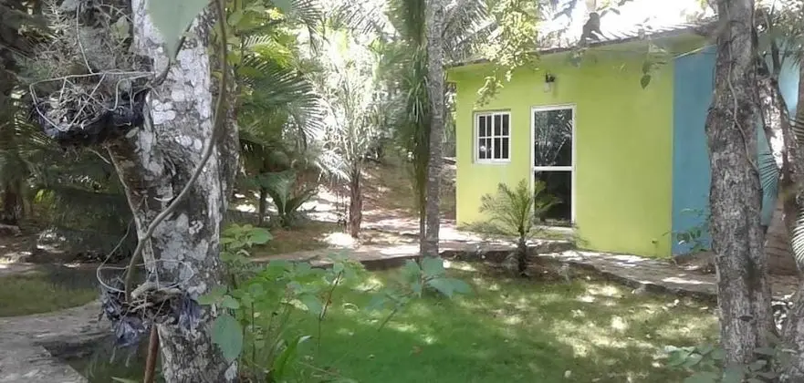 Green Jungle Hotel y Restaurante - Oda