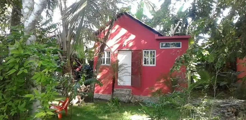 Green Jungle Hotel y Restaurante - Öne Çıkan Resim