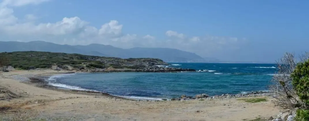 Green Luxury Villa Near The Sea - Plaj