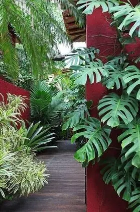 Green Mango Apartment and Hotel - Dış Mekan