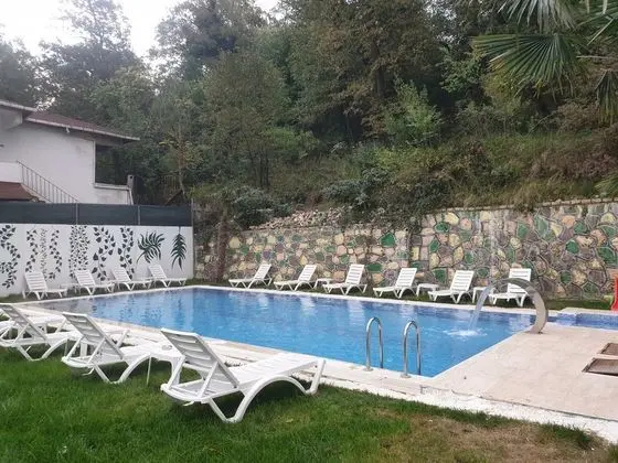 Green Moringa Termal Otel - Havuz