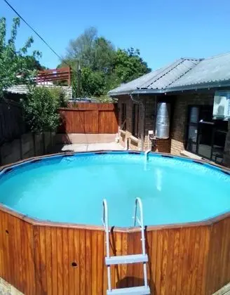 The Green Olive Guesthouse - Havuz