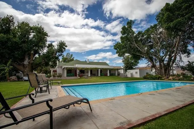 Green Olive Guesthouse - Havuz