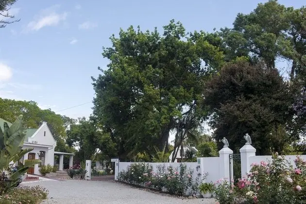 Green Olive Guesthouse - Lobi