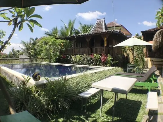 Green Paddy Hostel