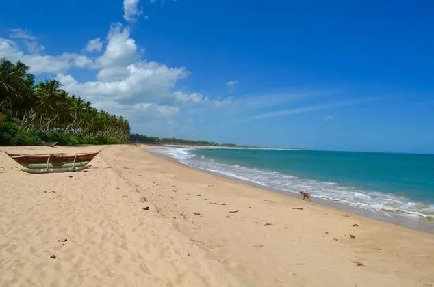 Green Parrot Beach Resort - Plaj