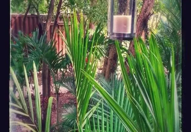 Green Sanctuary Hotel - Dış Mekan