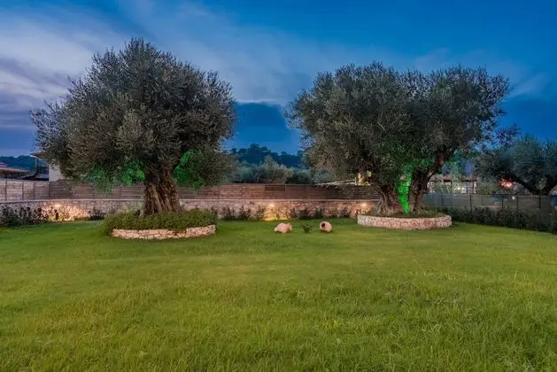 Green Stone Villas - Euphoria Apartment - Mülk Olanakları