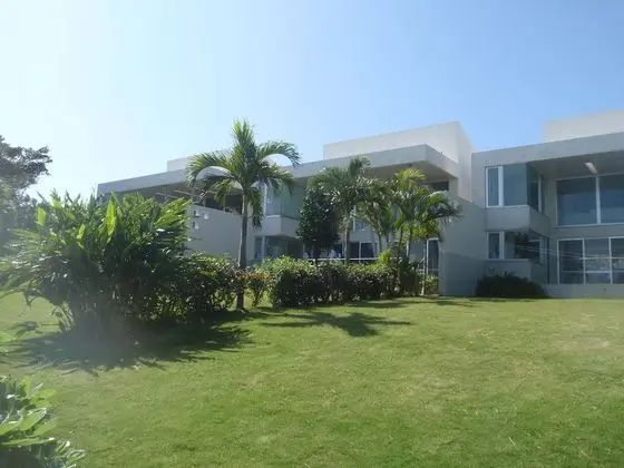 The Green Terrace