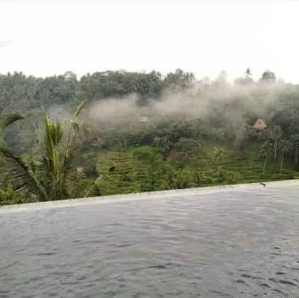 Green View Private Villas - Lobi