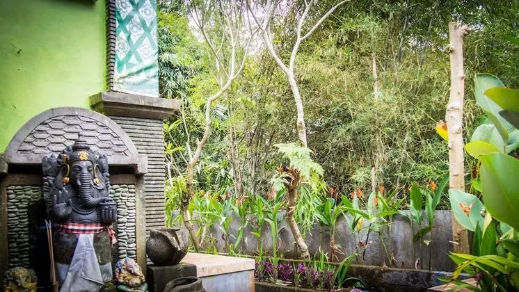 Green View Widia