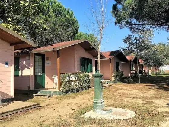 Greenchalets Toskana Viareggio - Campsite - Dış Mekan