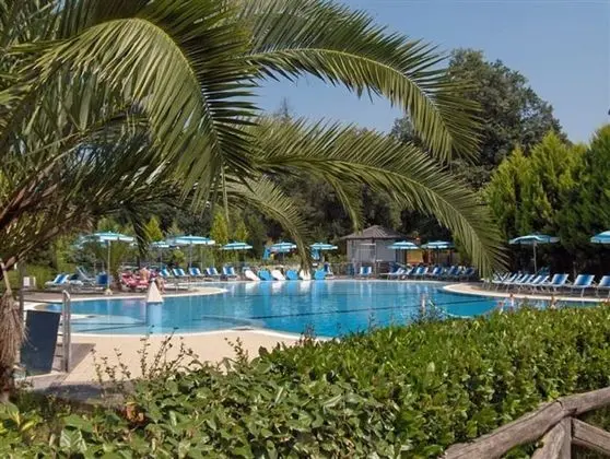 Greenchalets Toskana Viareggio - Campsite - Havuz