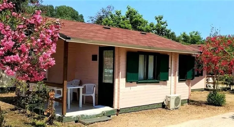 Greenchalets Toskana Viareggio - Campsite - Oda