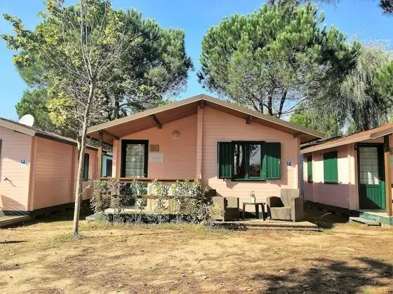 Greenchalets Toskana Viareggio - Campsite - Öne Çıkan Resim