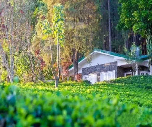 The Greendale Bungalow