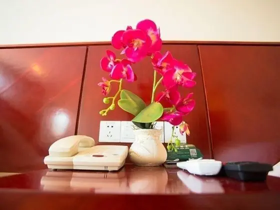 GreenTree Inn International Film City JinShan Rd - Oda