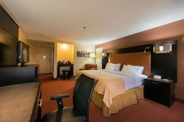 GreenTree Hotel Phoenix West - Oda