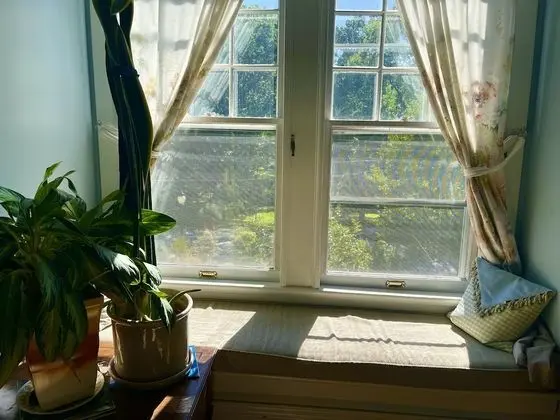 Greenwood Bed & Breakfast - Oda Manzaraları