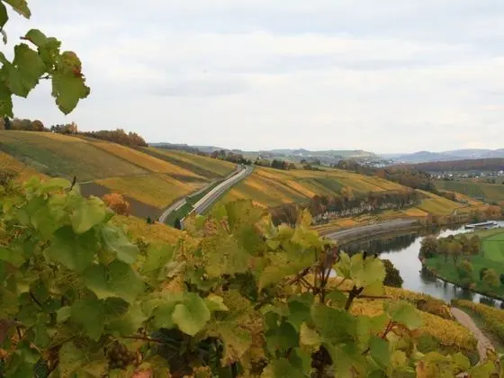 Greiweldenger Leit As Stadtbredimus - Oda