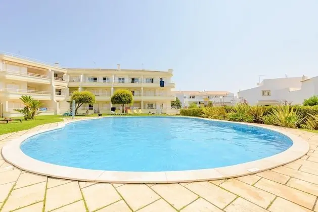 Grevilias in Vilamoura