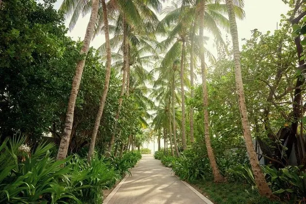 Hotel Greystone - Adults Only - Plaj