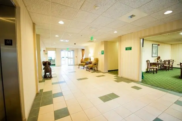 Greystone Inn and Suites - Lobi