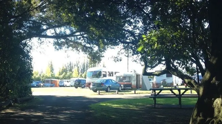 Greytown Campground - Lobi
