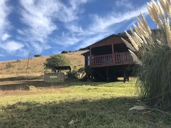 Groenhoek Game and Guest Farms - Dış Mekan