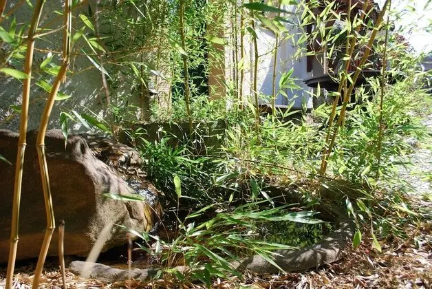 Grüne Idylle im Dresdener Süden