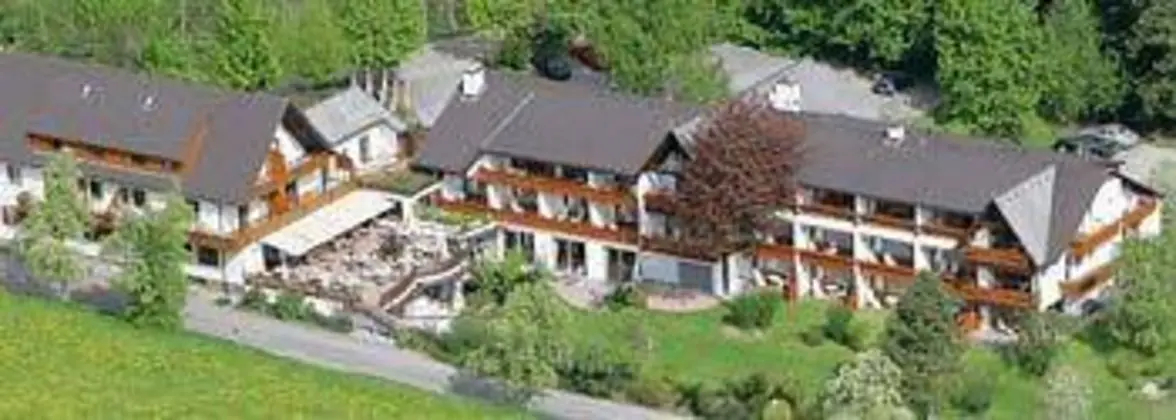 Hotel Grüner Wald