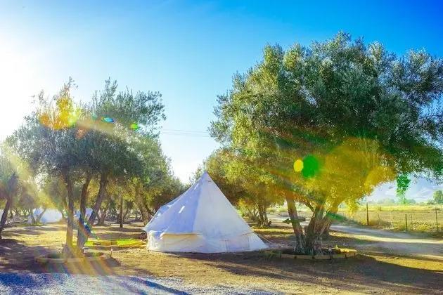 Guadalupe Valle Glamping - Dış Mekan