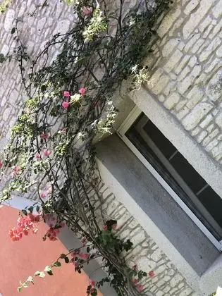 Gubiba Alaçatı Oteller - Genel