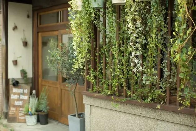 Guest House hachi - Hostel - Dış Mekan