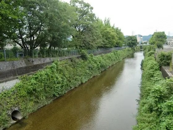 Guest house KOTONE KYOTO - Dış Mekan