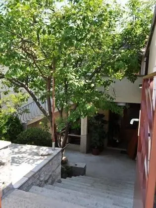 Guest House Palm Street - Dış Mekan